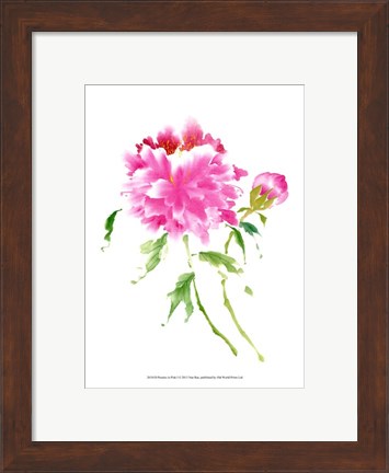 Framed Peonies in Pink I Print