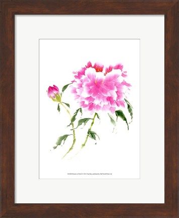 Framed Peonies in Pink II Print