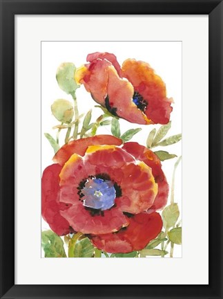 Framed Poppy Floral II Print