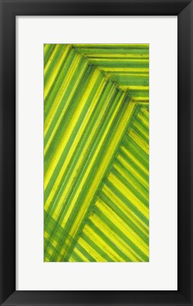 Framed Line Study Green Print