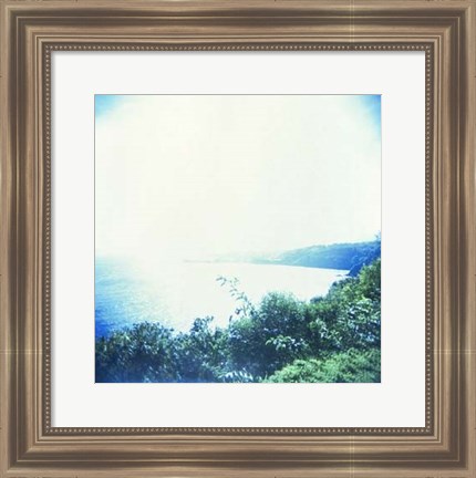 Framed Holga Hawaii VI Print