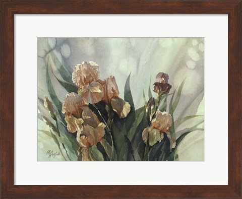 Framed Hadfield Irises II Print