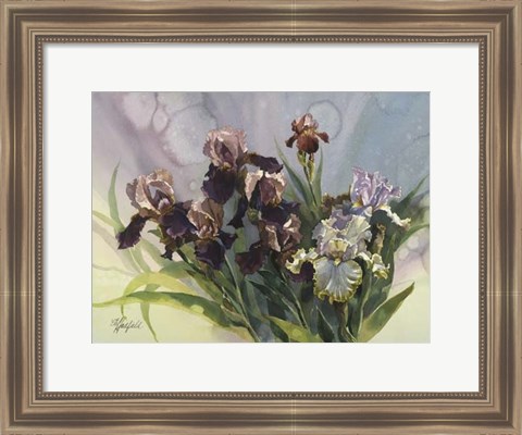 Framed Hadfield Irises IV Print