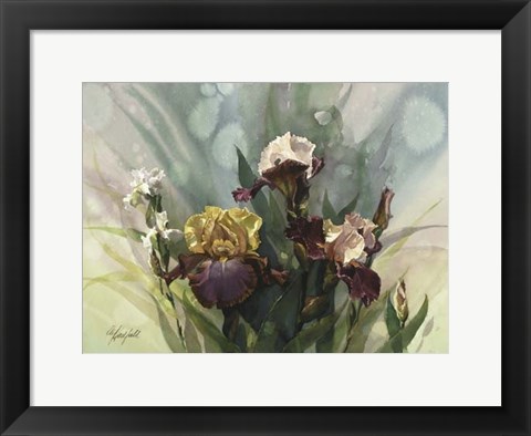 Framed Hadfield Irises VI Print