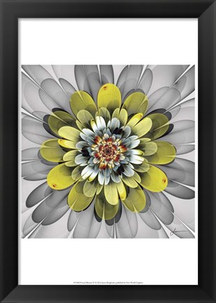 Framed Fractal Blooms IV Print