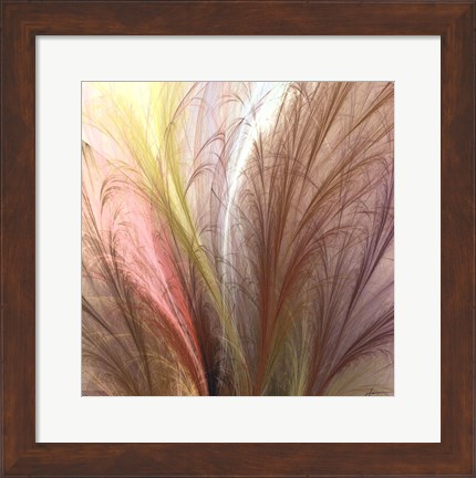 Framed Fountain Grass II Print