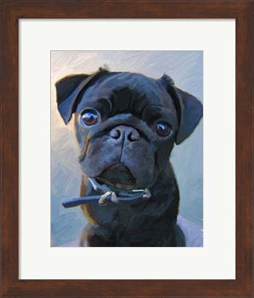 Framed Pug Baby Blue Print