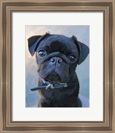 Framed Pug Baby Blue Print