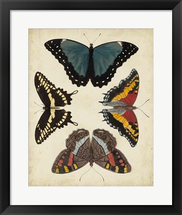 Framed Display of Butterflies I Print