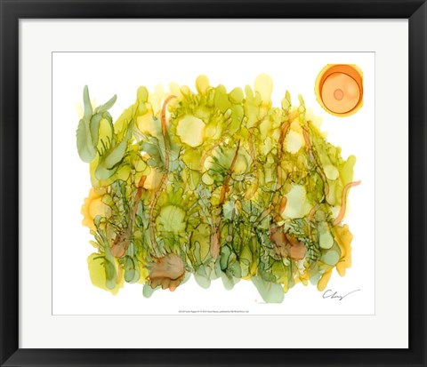 Framed Sunlit Poppies IV Print