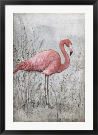 Framed American Flamingo I Print