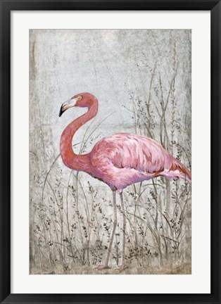 Framed American Flamingo II Print