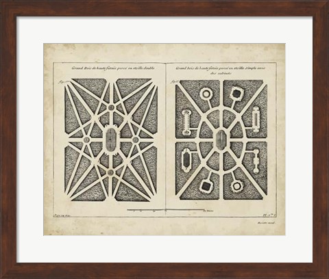 Framed Garden Parterre III Print