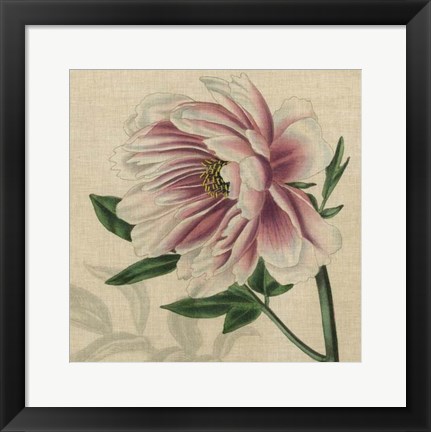 Framed Floral Delight II Print