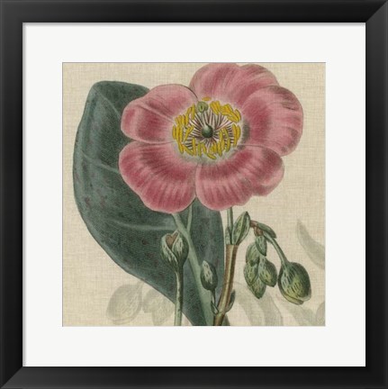 Framed Floral Delight IV Print