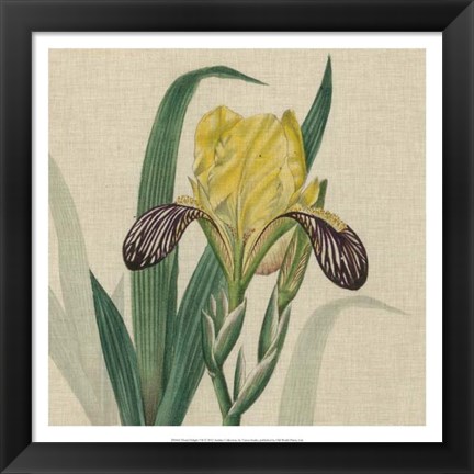 Framed Floral Delight VII Print