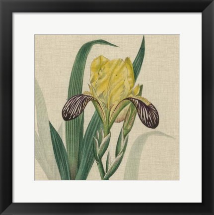 Framed Floral Delight VII Print