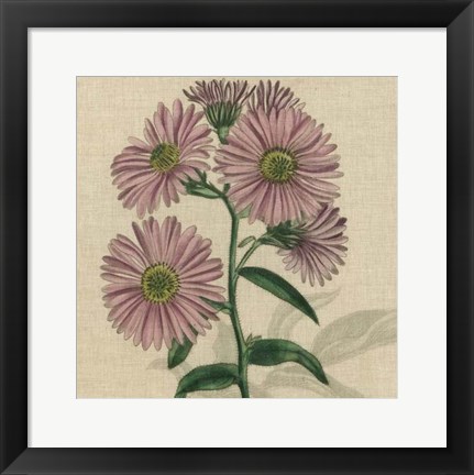 Framed Floral Delight VIII Print