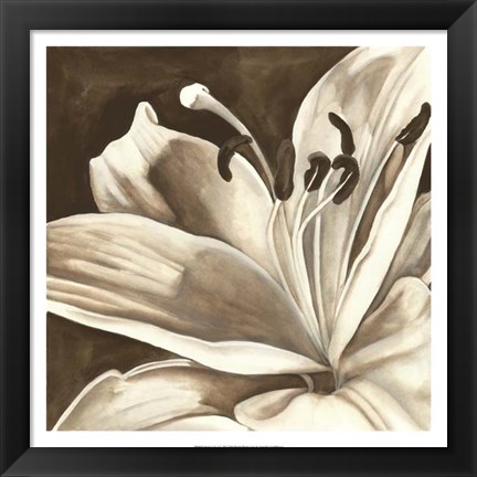 Framed Sepia Lily I Print