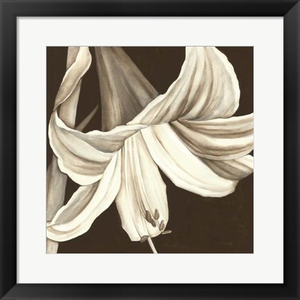 Framed Sepia Lily III Print