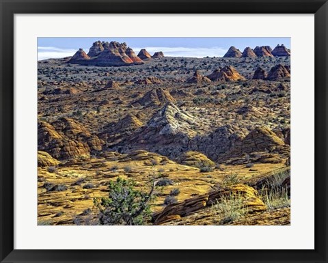 Framed View from Coyote Buttes Print