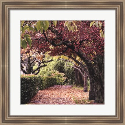 Framed Arch of Trees Print