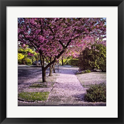 Framed Fallen Petals Print