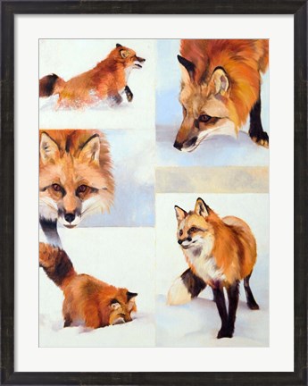 Framed Vulpes V Print