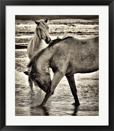 Framed Beach Horses I Print