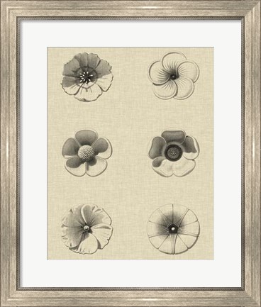 Framed Floral Rosette I Print