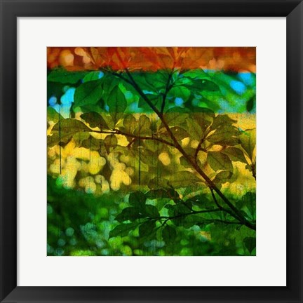 Framed Abstract Leaf Study I Print