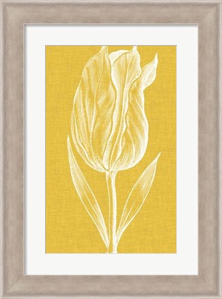 Framed Chromatic Tulips IV Print