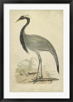 Framed Morris Crane II Print