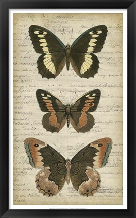 Framed Butterfly Script I Print