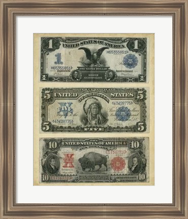 Framed Antique Currency VI Print