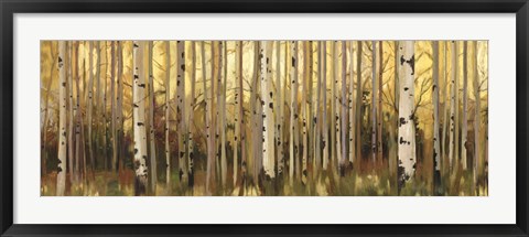 Framed Forest Light Print