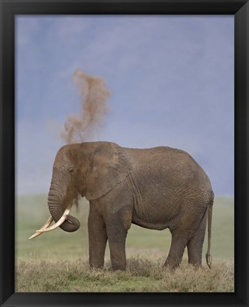 Framed African Elephant, Ngorongoro Crater, Arusha Region, Tanzania Print