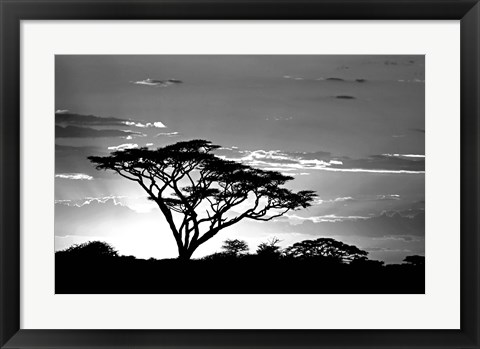 Framed Silhouette of Trees in Black and White, Ngorongoro Conservation Area, Arusha Region, Tanzania Print