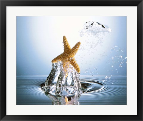 Framed Starfish rising on water bubble toward bright light Print