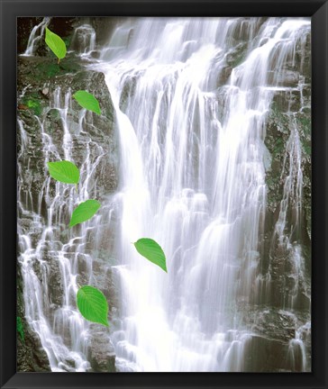 Framed Green leaves cascading in front of waterfall Print