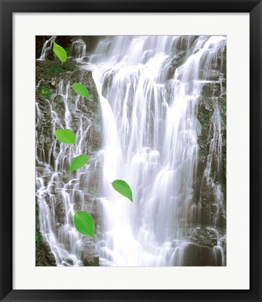 Framed Green leaves cascading in front of waterfall Print