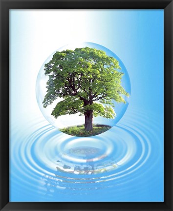 Framed clear sphere with a full tree floats over a large water ring with reflection Print