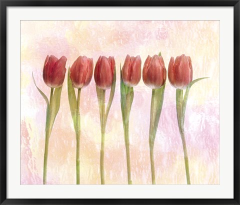 Framed Six pink tulips with green stems and leaves upright in front of pink plaster wall Print