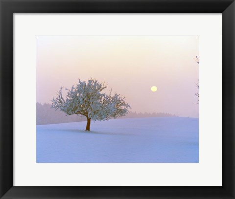 Framed Foggy winter scene with tree and moon Print