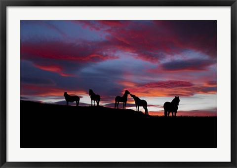 Framed Silhouette of horses at night, Iceland Print