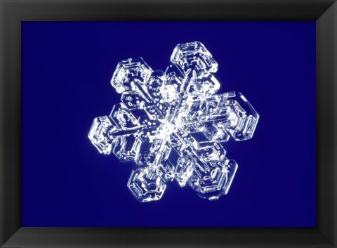 Framed Snowflake 2 Print