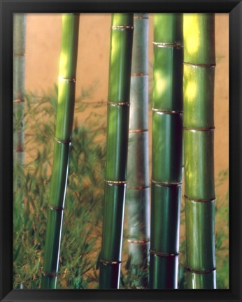 Framed Bamboo Sticks Print