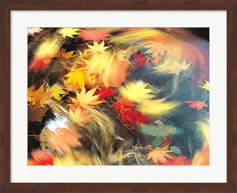 Framed Maple Leaves, Blurred Motion Print