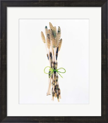 Framed Flowers tied by rope Print