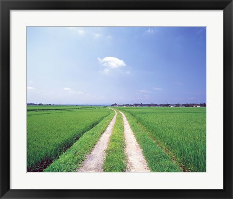 Framed Rural road between crop fields Print